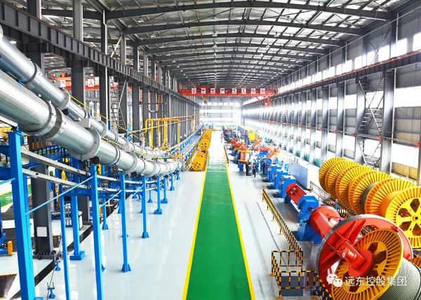 远东控股：拥抱“十四五”，共谋新未来(图6)