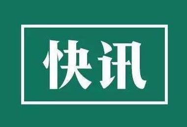 远东股份：2020年实现营收198.04亿元 一季度净利润同比增277.8%