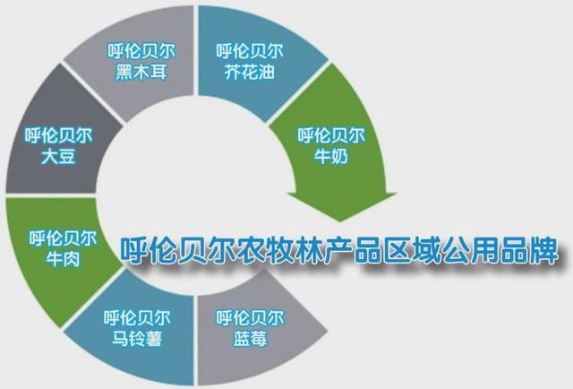 呼伦贝尔市大手笔打造“叫得响”的农牧林产品区域公用品牌(图1)