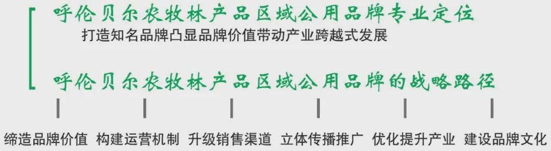 呼伦贝尔市大手笔打造“叫得响”的农牧林产品区域公用品牌(图11)