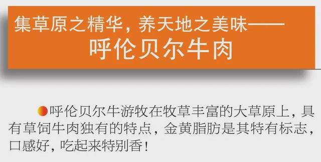 呼伦贝尔市大手笔打造“叫得响”的农牧林产品区域公用品牌(图4)