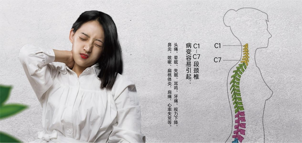 中胶永生“颈康枕” 枕出健康好颈椎(图1)