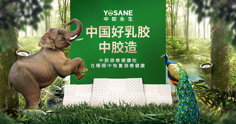 中胶永生“颈康枕” 枕出健康好颈椎(图2)