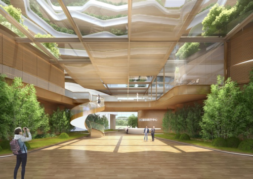 和祐国际医院开工建设在即，增进大湾区民生福祉(图3)