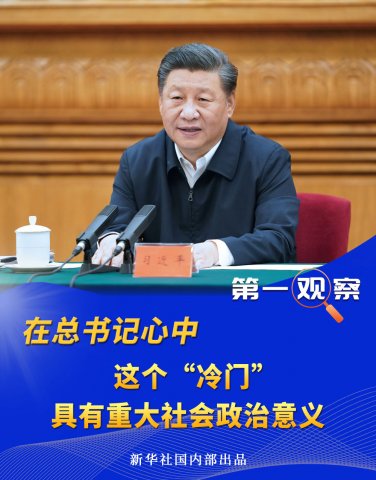 在总书记心中，这个“冷门”具有重大社会政治意义