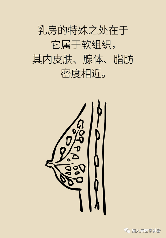 【天坛科普】钼靶和B超，检查乳腺选哪个？(图5)