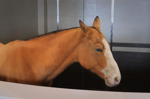 承德旅行 | 浪漫冰火世界(图16)