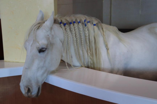 承德旅行 | 浪漫冰火世界(图15)