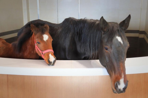 承德旅行 | 浪漫冰火世界(图14)