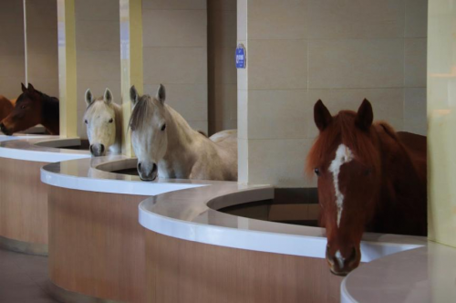 承德旅行 | 浪漫冰火世界(图17)