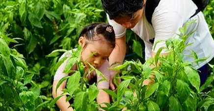 留厦乡村游！田园采风、游春踏青、美学探索