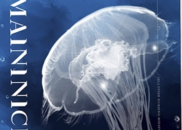 面膜的膜布到底有多重要—探秘王耀庆的麦娜思水母面膜