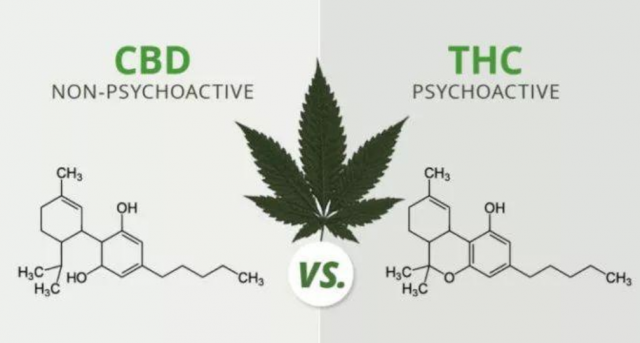 开启轻奢护肤之旅，翰麻善大麻叶护肤惊艳登场