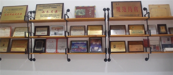 王海奇运用现代脾胃学说 为人类健康向世界亮剑(图4)