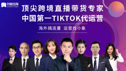 小象出海，海外抖音TikTok代运营，助力厂家出海