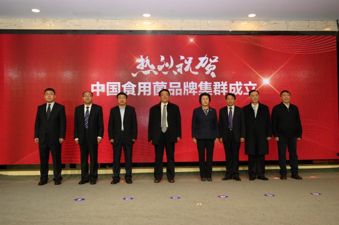 中国食用菌品牌集群成立大会暨平泉香菇区域公用品牌高峰论坛召开(图10)