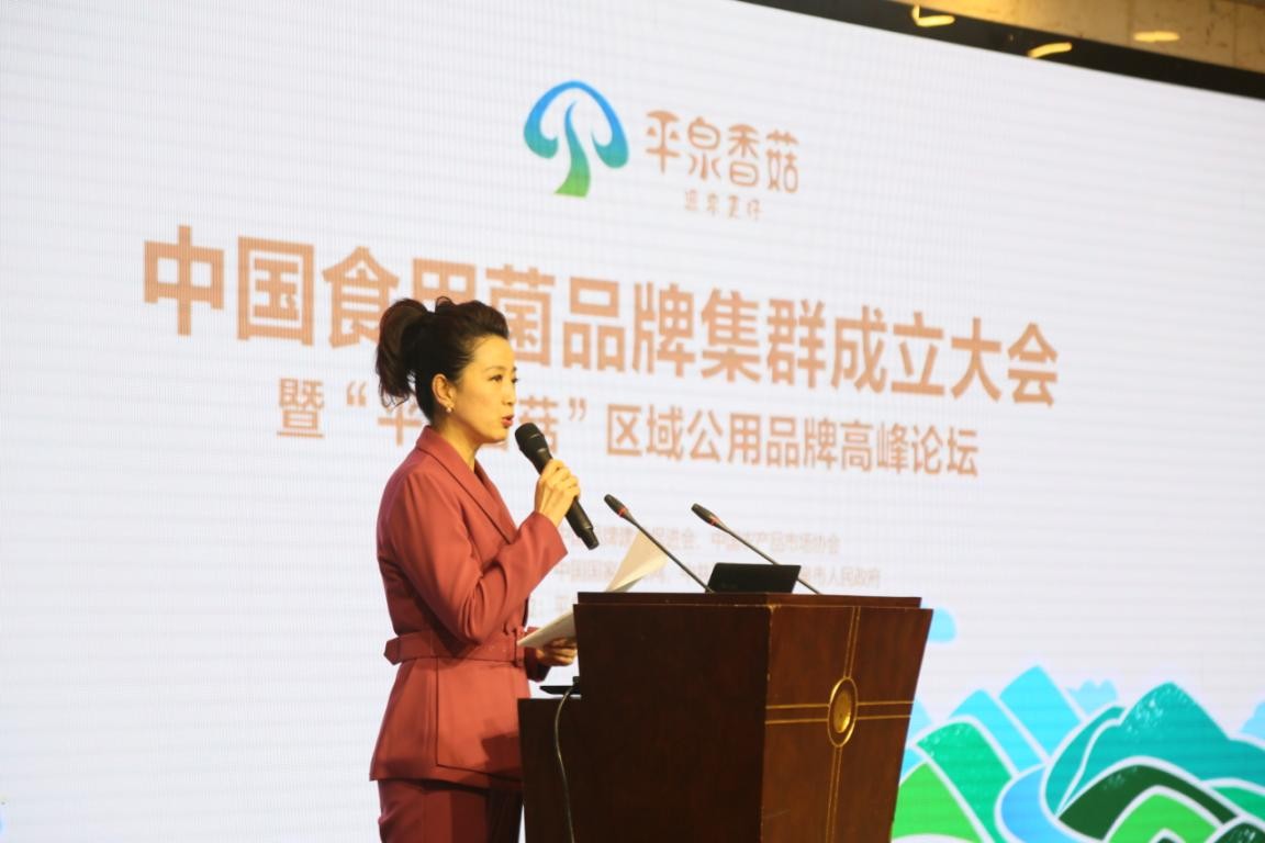 中国食用菌品牌集群成立大会暨平泉香菇区域公用品牌高峰论坛召开(图3)