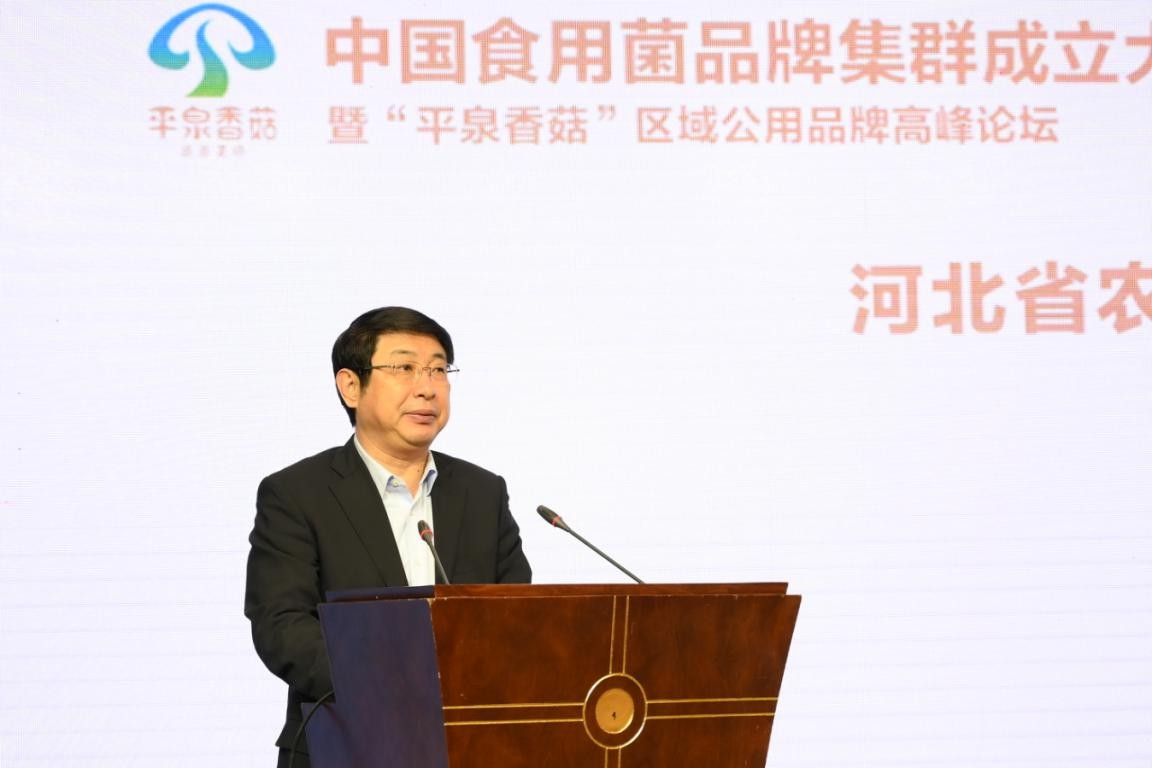 中国食用菌品牌集群成立大会暨平泉香菇区域公用品牌高峰论坛召开(图6)