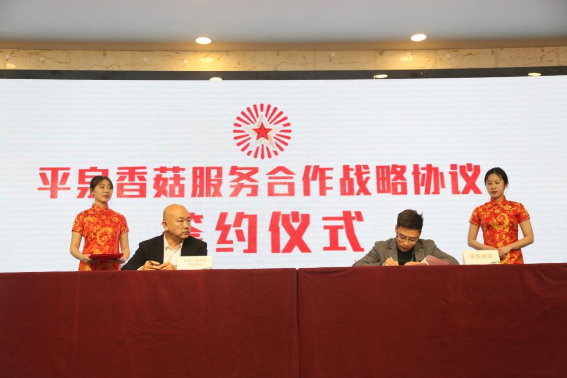 中国食用菌品牌集群成立大会暨平泉香菇区域公用品牌高峰论坛召开(图20)