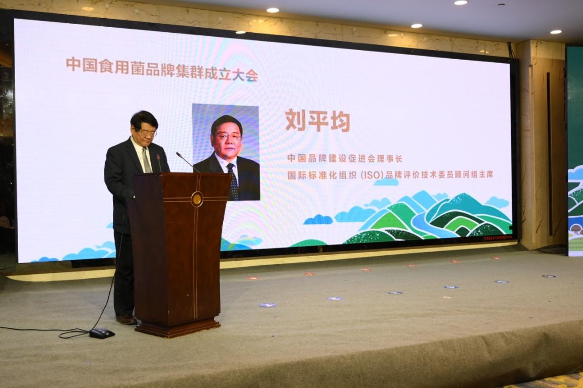 中国食用菌品牌集群成立大会暨平泉香菇区域公用品牌高峰论坛召开(图2)