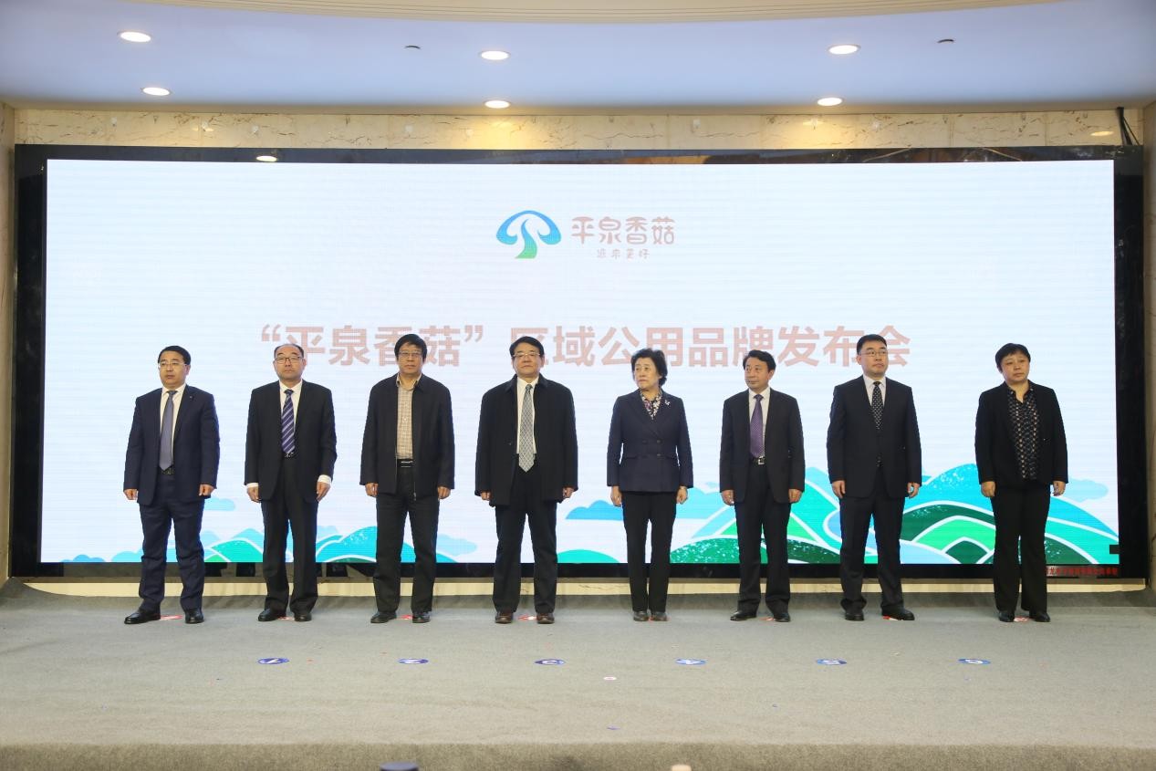 中国食用菌品牌集群成立大会暨平泉香菇区域公用品牌高峰论坛召开(图23)