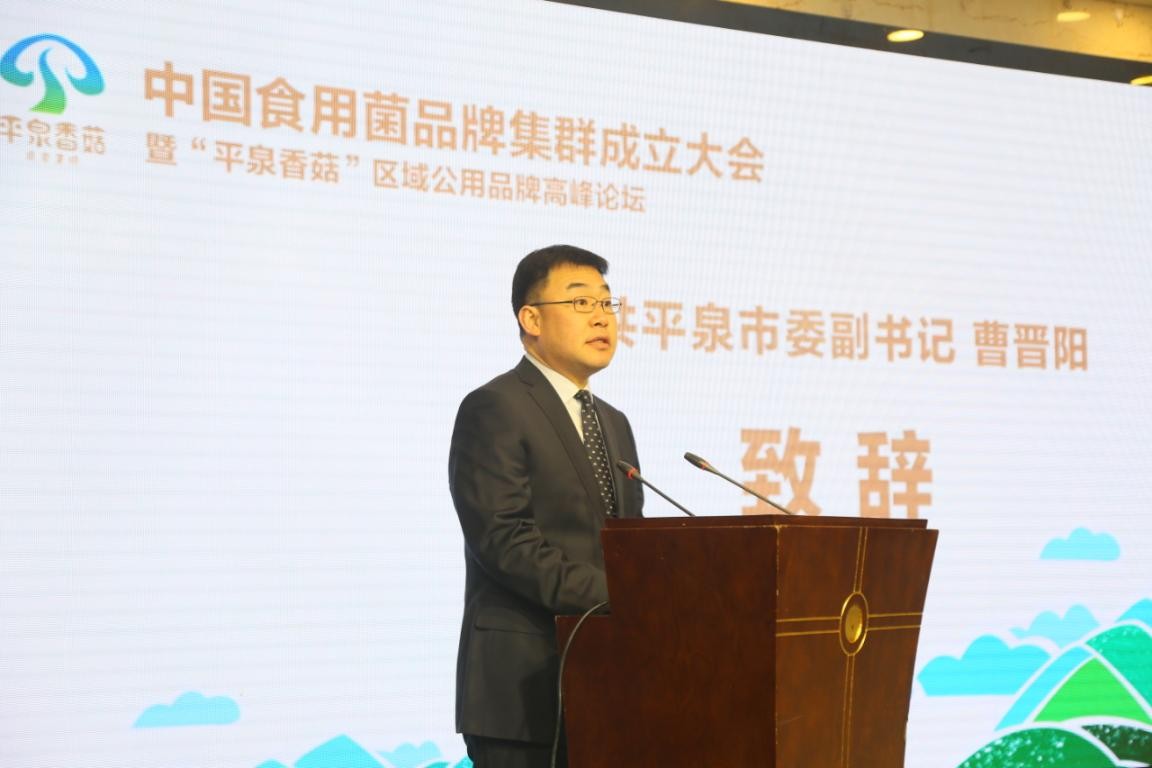 中国食用菌品牌集群成立大会暨平泉香菇区域公用品牌高峰论坛召开(图4)